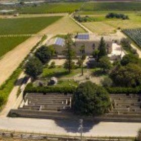 Azienda Maggio Vini